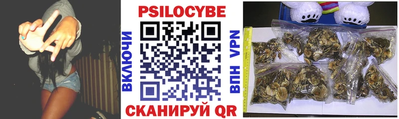 площадка официальный сайт  Фокино  Псилоцибиновые грибы Psilocybine cubensis 